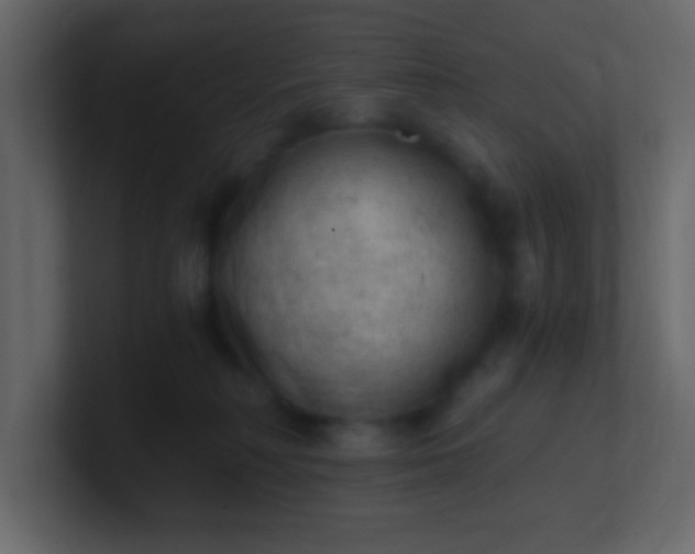 X0000101110230200807101516