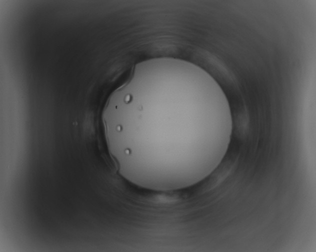 X0000101110232200807101516
