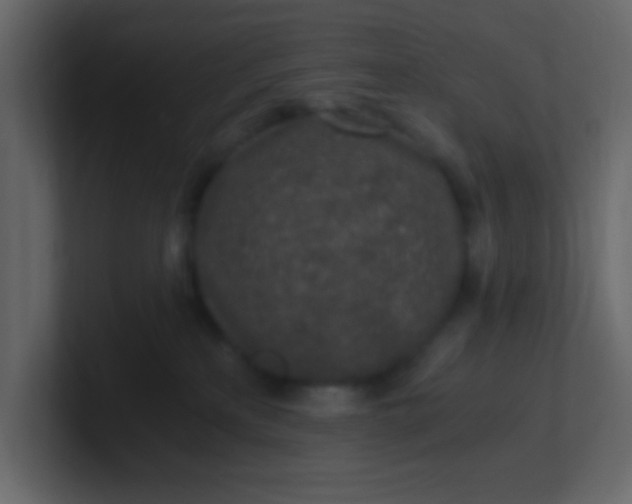 X0000101110233200807101516