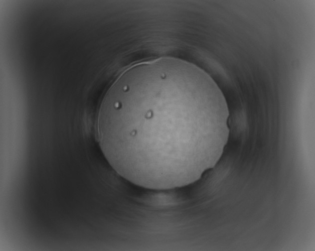 X0000101110236200807101516