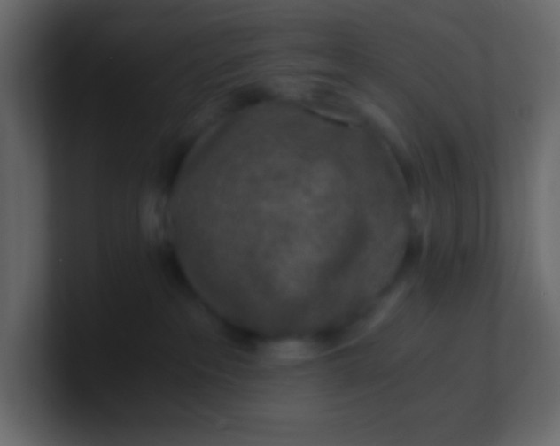 X0000101110237200807101516
