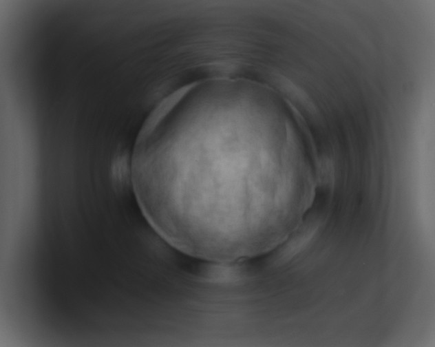 X0000101110238200807101516