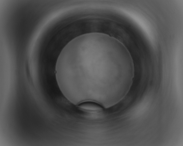 X0000101110239200807101516