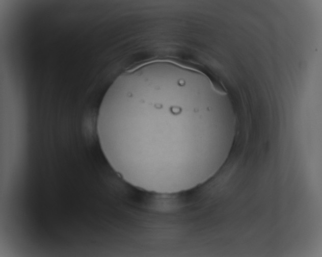 X0000101110240200807101516