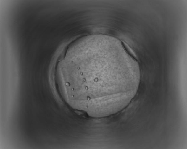 X0000101110241200807101515