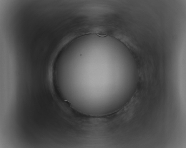 X0000101110242200807101515