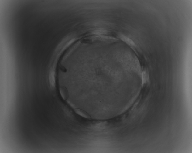 X0000101110243200807101515
