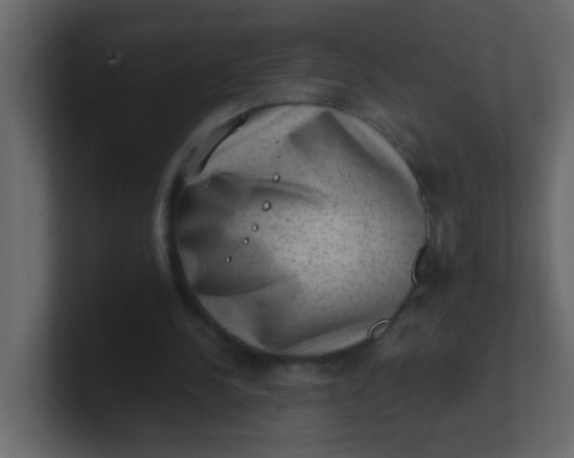 X0000101110244200807101515