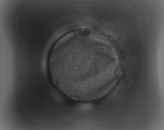 X0000101110247200807101515