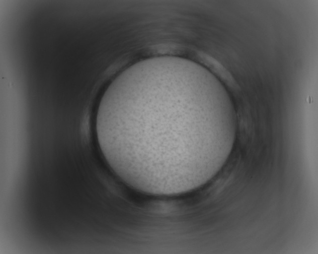 X0000101110250200807101515