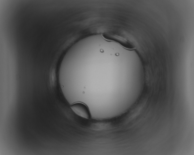 X0000101110251200807101515