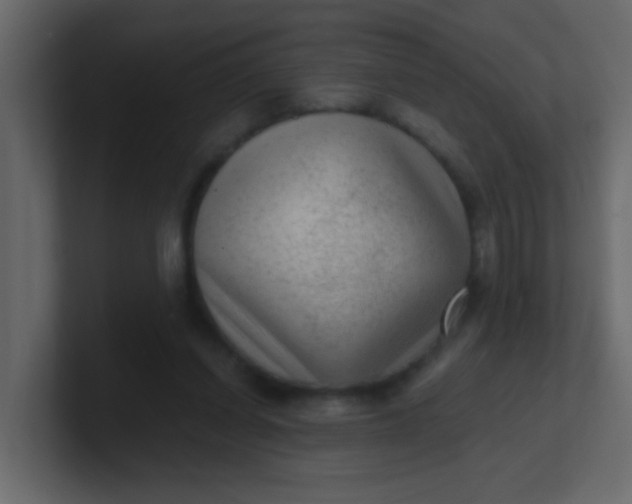 X0000101110254200807101515