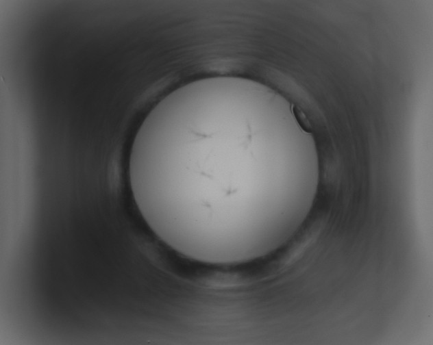 X0000101110256200807101515