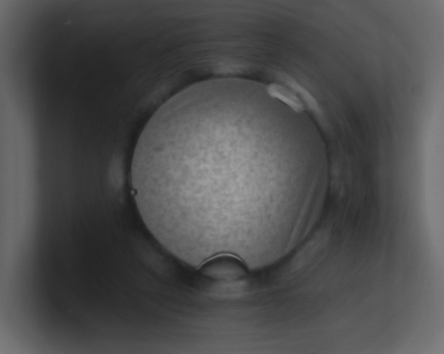 X0000101110257200807101515