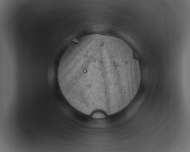 X0000101110260200807101515