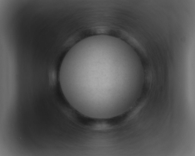 X0000101110262200807101515
