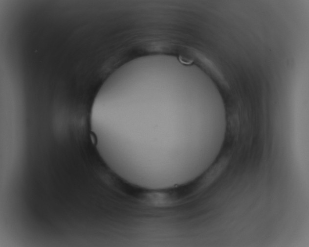 X0000101110265200807101515