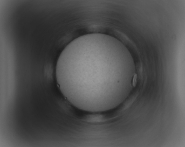 X0000101110266200807101516