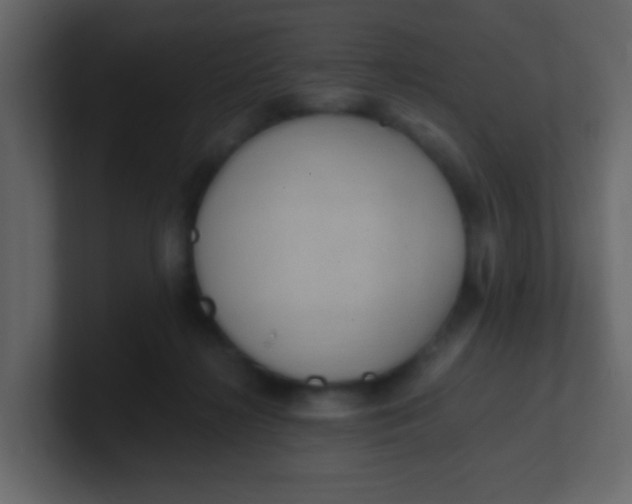 X0000101110268200807101516