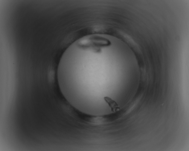 X0000101110269200807101516