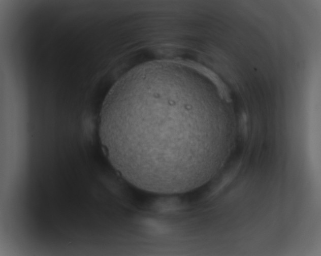X0000101110271200807101516