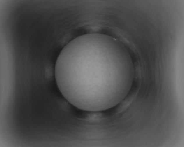 X0000101110274200807101516