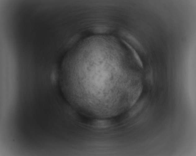 X0000101110277200807101516