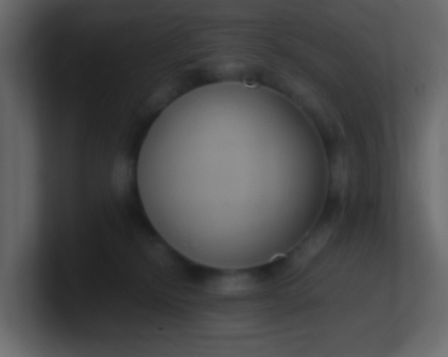X0000101110278200807101516