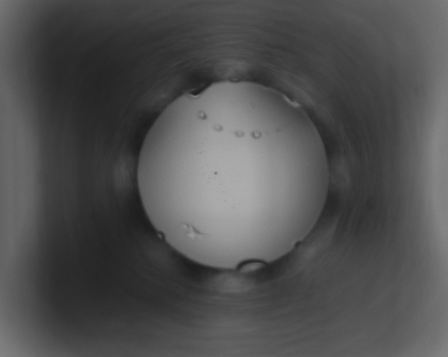 X0000101110280200807101516
