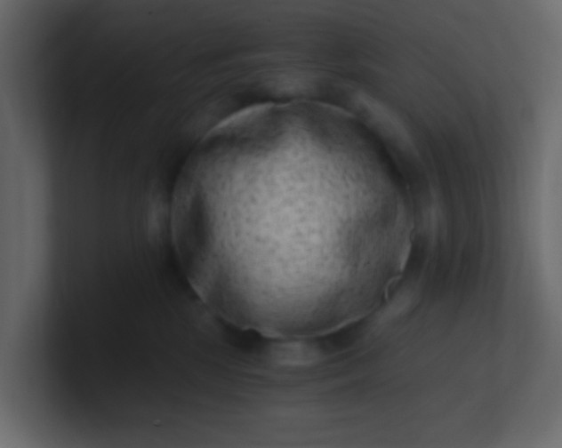 X0000101110281200807101516