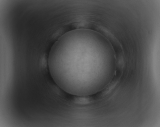 X0000101110282200807101516