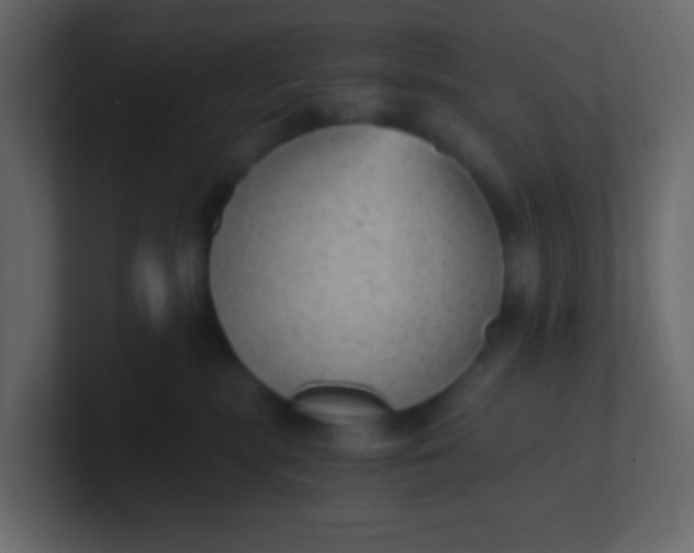 X0000101110283200807101516