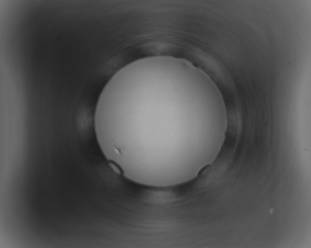 X0000101110284200807101516