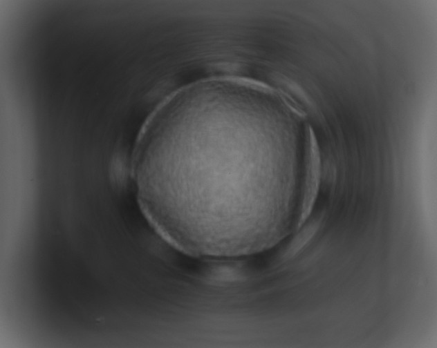 X0000101110285200807101516