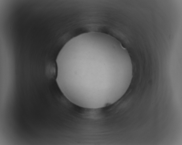 X0000101110288200807101516