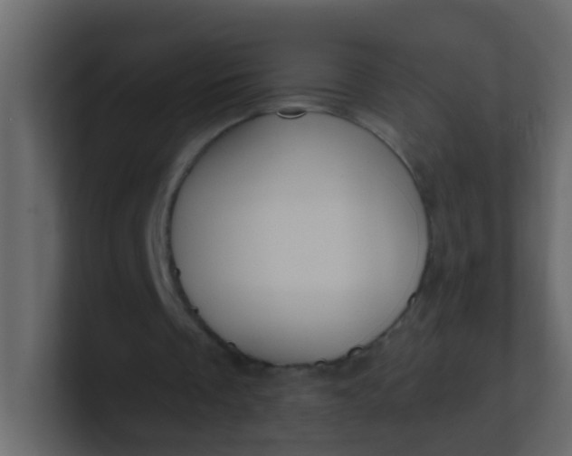 X0000101110289200807101515