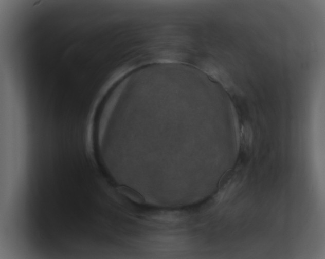 X0000101110292200807101515