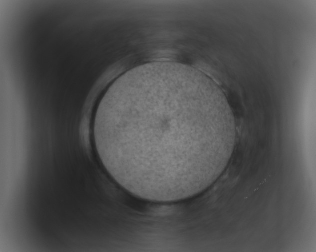 X0000101110293200807101515