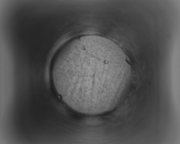 X0000101110296200807101515