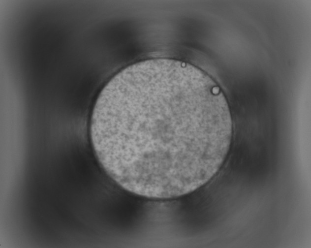 X0000101110297200807101515