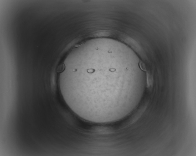 X0000101110300200807101515