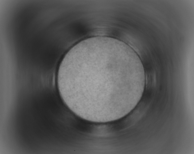 X0000101110301200807101515