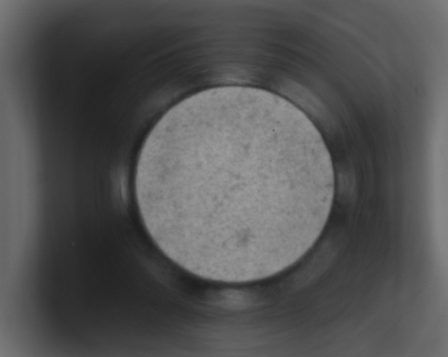 X0000101110302200807101515