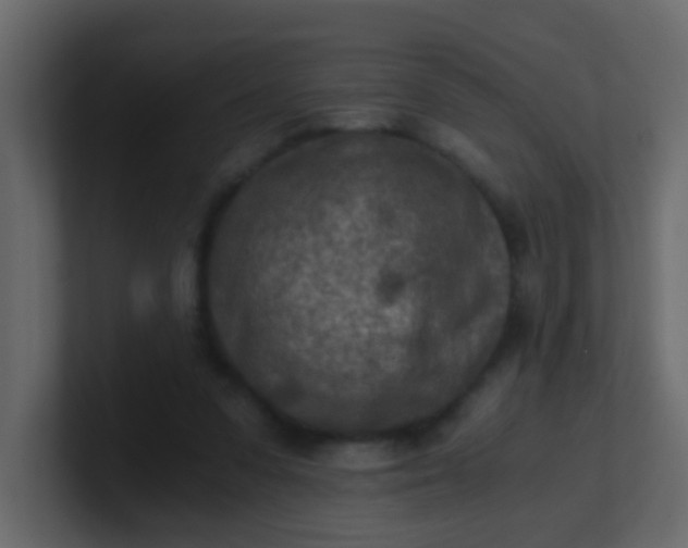 X0000101110303200807101515