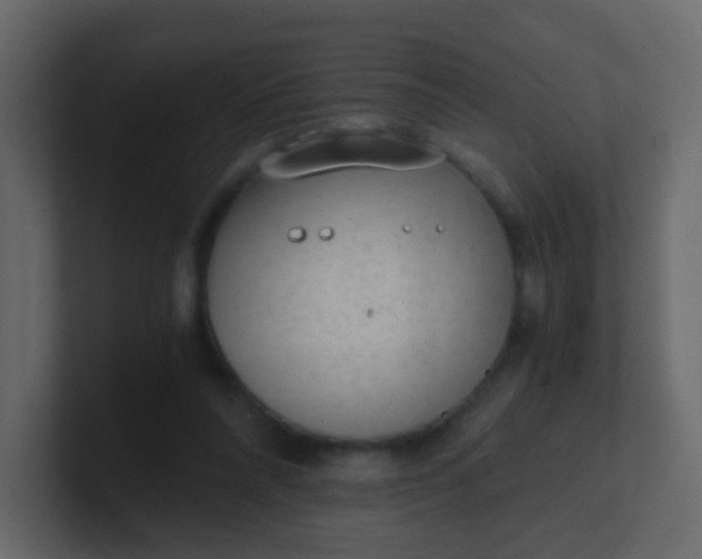 X0000101110304200807101515