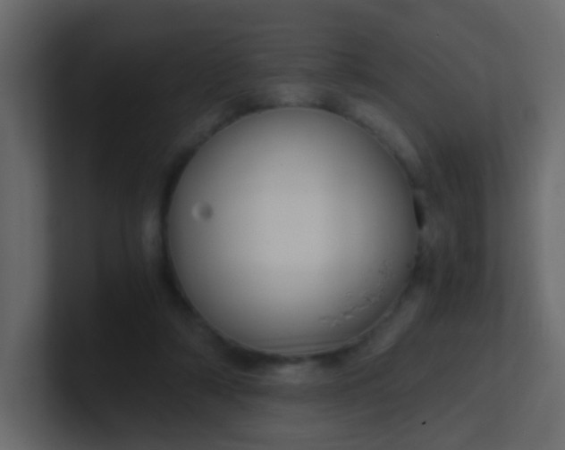 X0000101110306200807101515