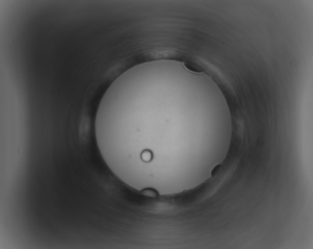 X0000101110308200807101515