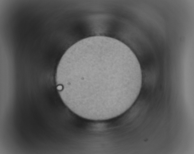 X0000101110313200807101515