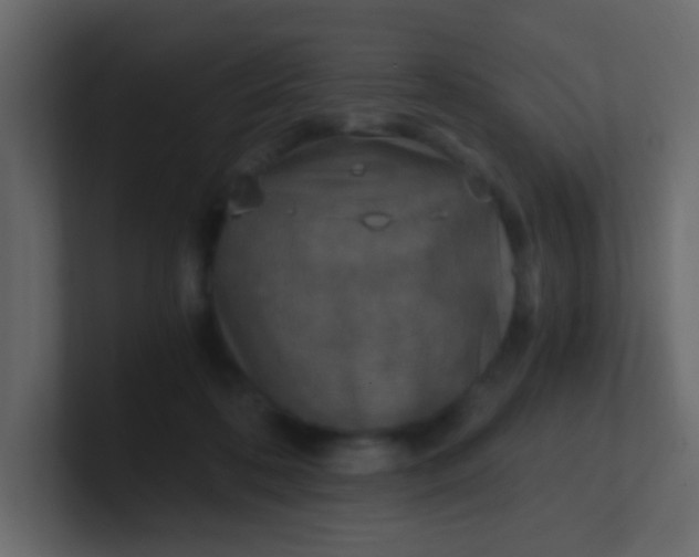 X0000101110316200807101515