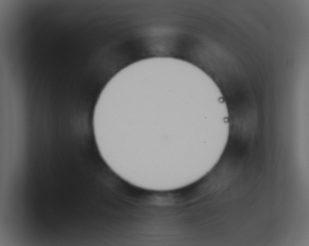 X0000101110317200807101515